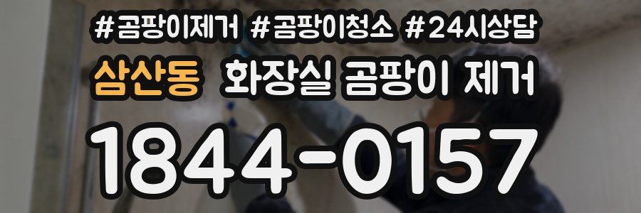 삼산동 화장실 곰팡이 제거