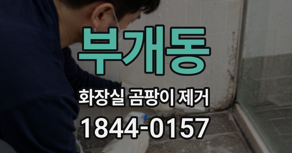 부개동 화장실 곰팡이 제거
