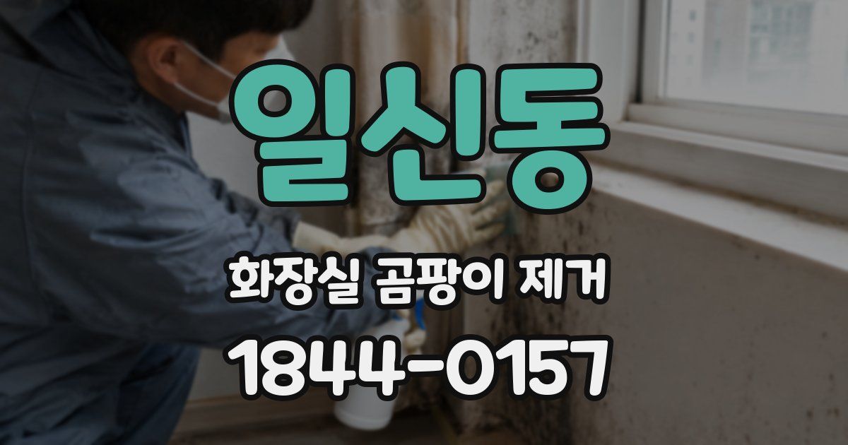 일신동 화장실 곰팡이 제거