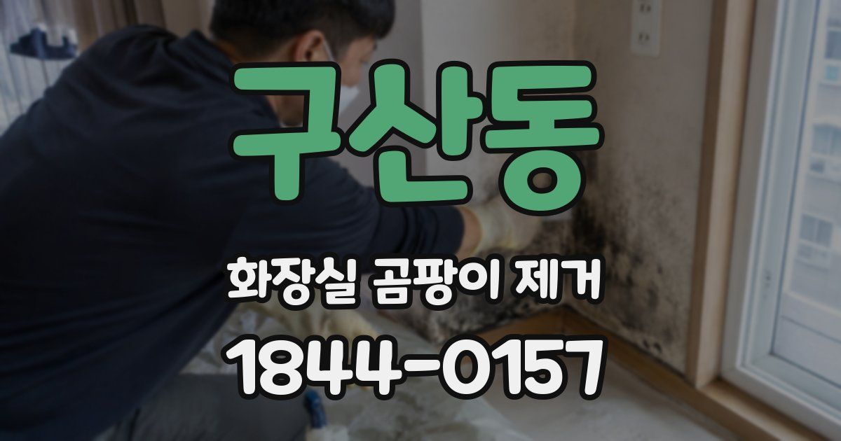 구산동 화장실 곰팡이 제거