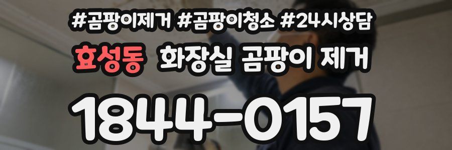 효성동 화장실 곰팡이 제거