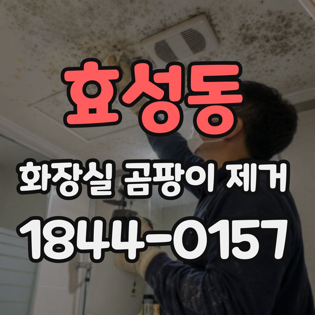 효성동 화장실 곰팡이 제거
