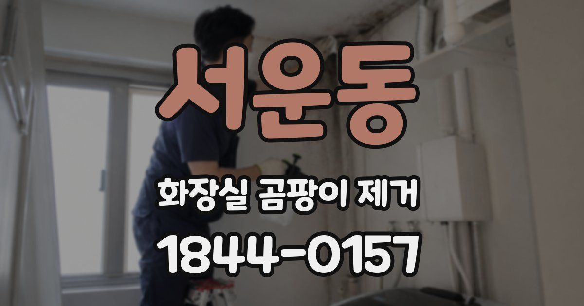 서운동 화장실 곰팡이 제거