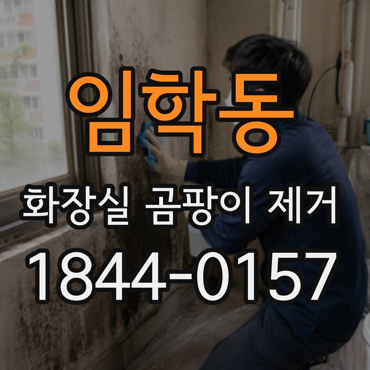 임학동 화장실 곰팡이 제거