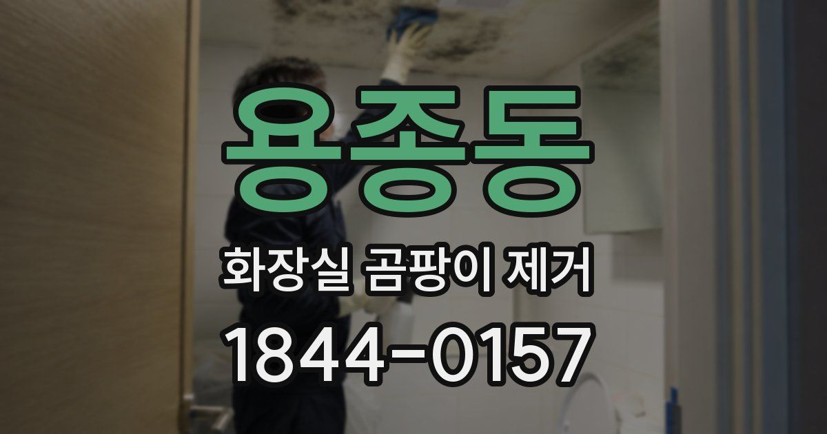 용종동 화장실 곰팡이 제거