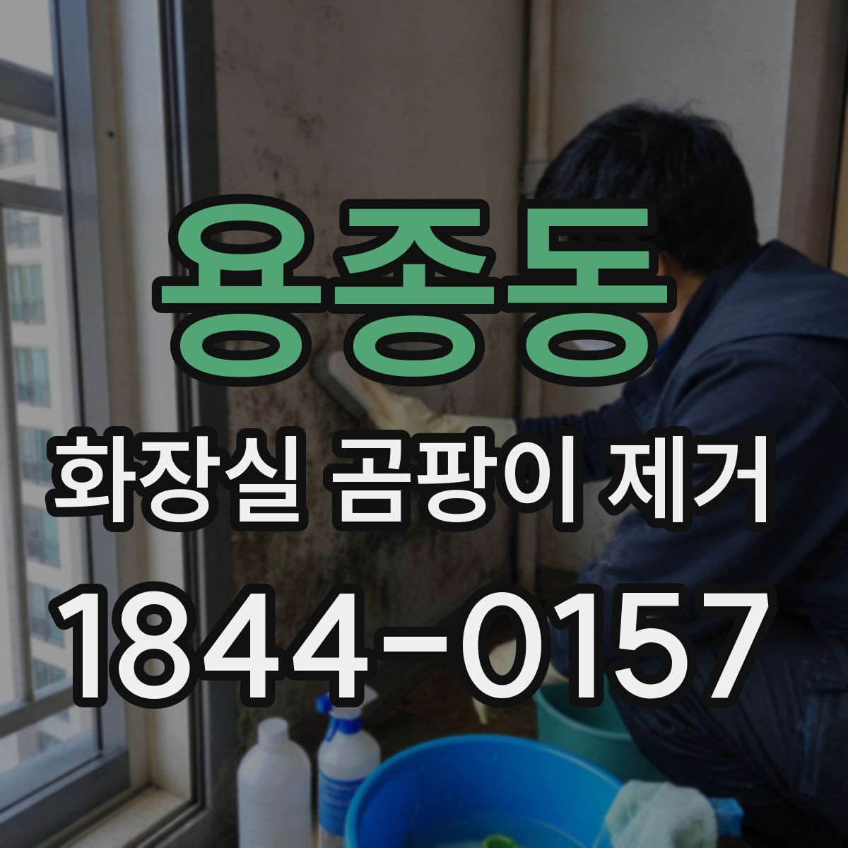 용종동 화장실 곰팡이 제거
