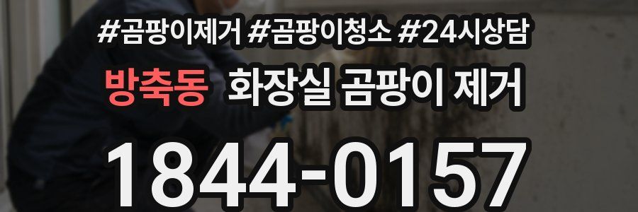 방축동 화장실 곰팡이 제거
