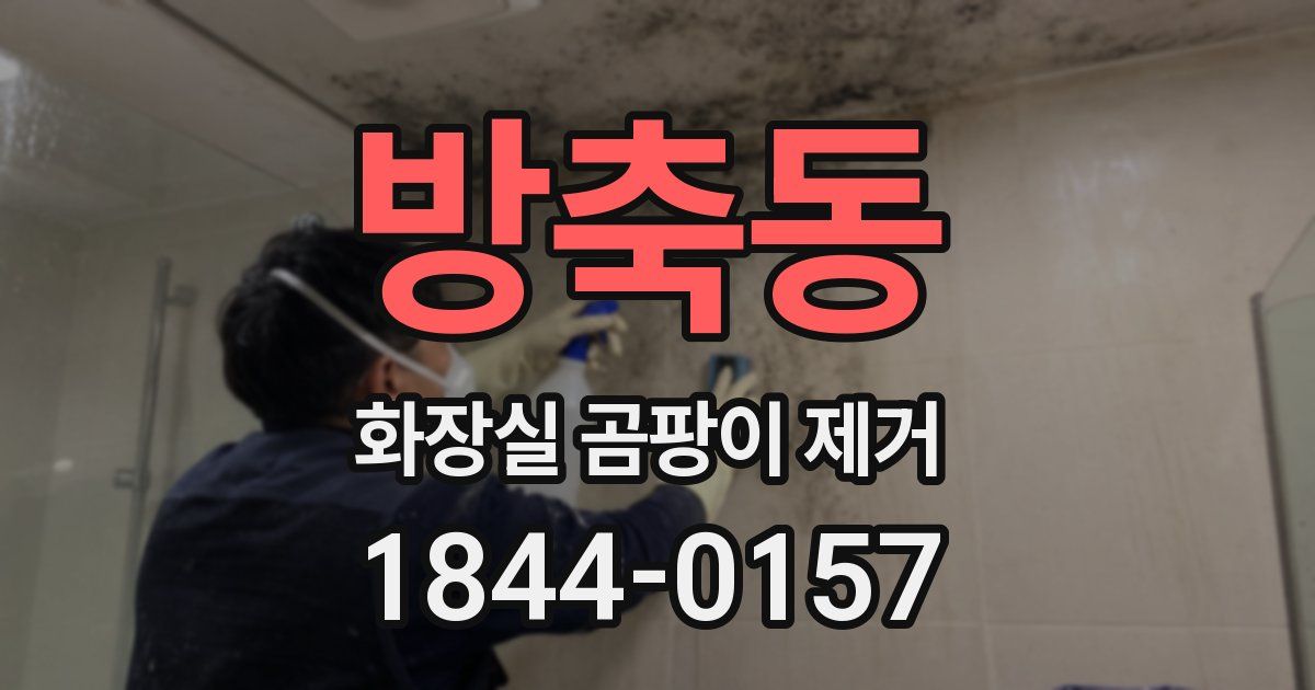 방축동 화장실 곰팡이 제거