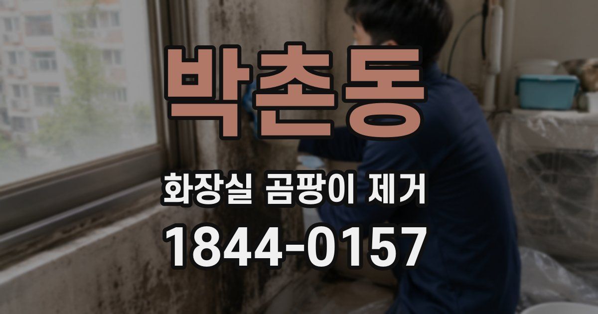 박촌동 화장실 곰팡이 제거
