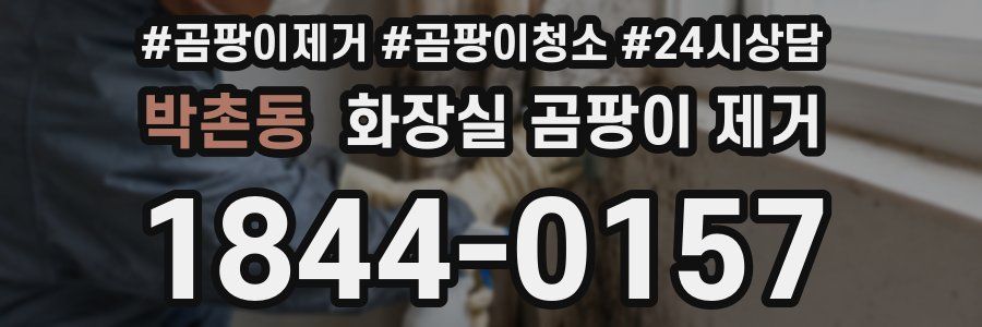 박촌동 화장실 곰팡이 제거