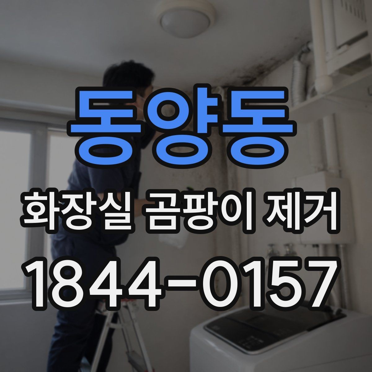 동양동 화장실 곰팡이 제거 실리콘 변색과 번짐을 구분하는 법