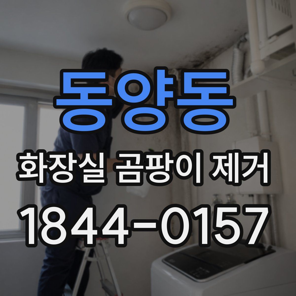 동양동 화장실 곰팡이 제거