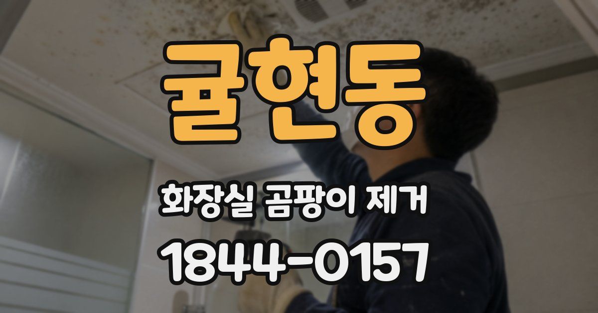 귤현동 화장실 곰팡이 제거
