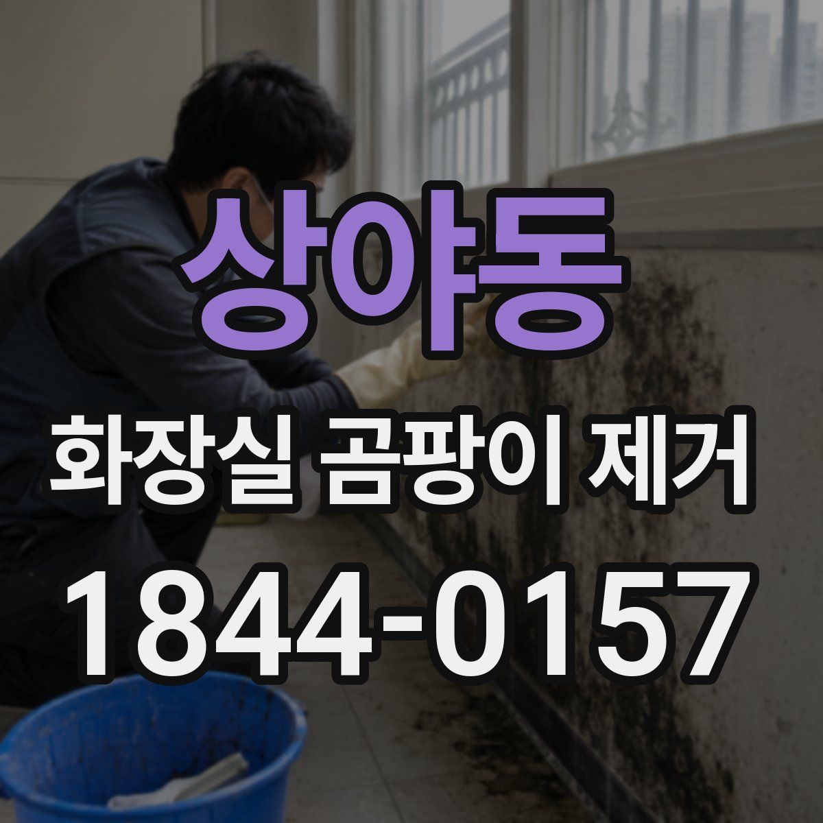 상야동 화장실 곰팡이 제거