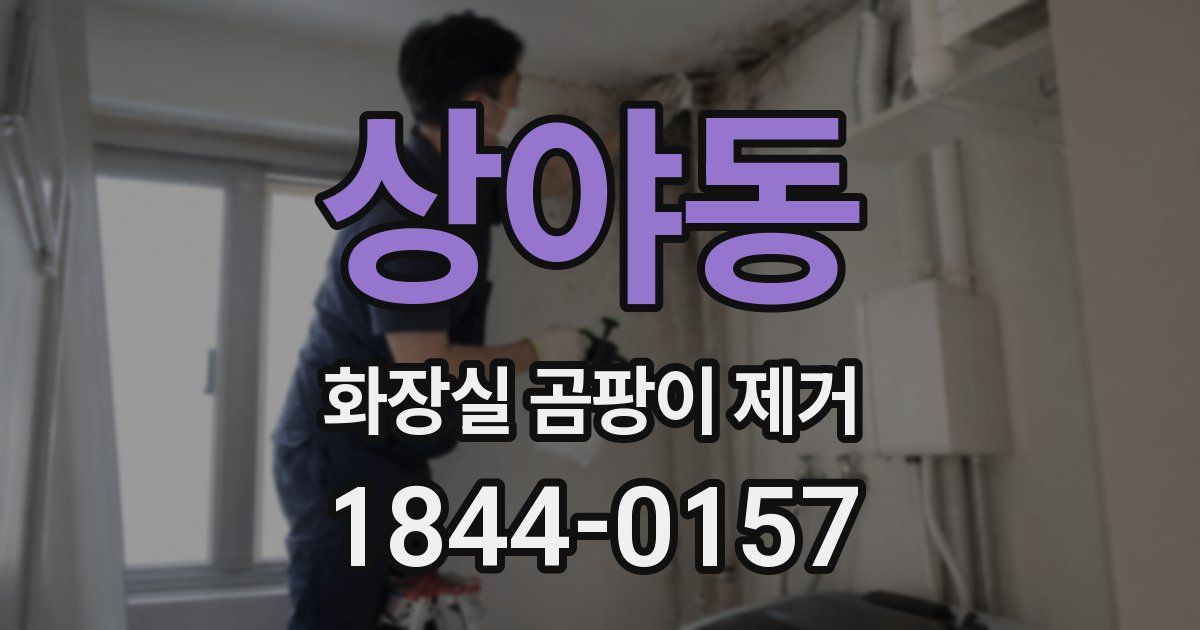 상야동 화장실 곰팡이 제거