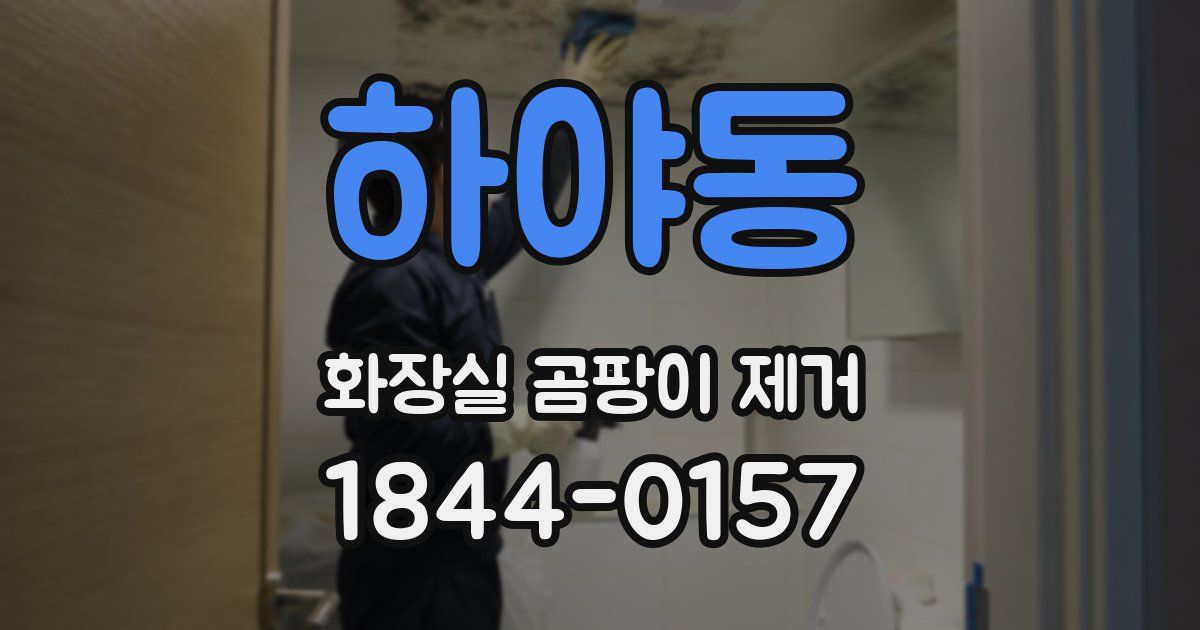 하야동 화장실 곰팡이 제거