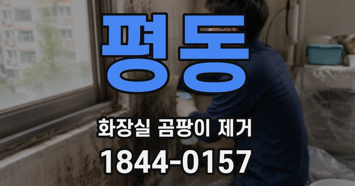 평동 화장실 곰팡이 제거
