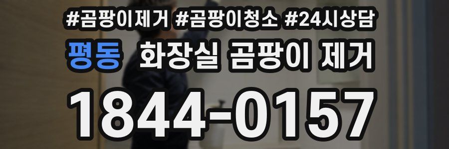 평동 화장실 곰팡이 제거