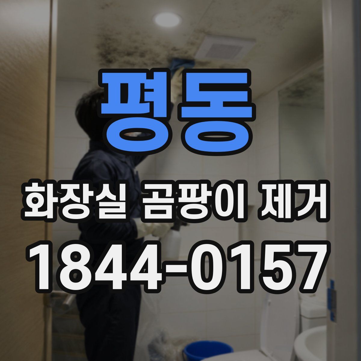 평동 화장실 곰팡이 제거