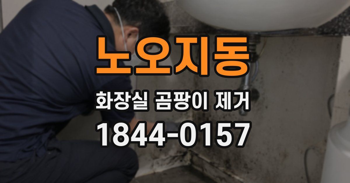 노오지동 화장실 곰팡이 제거