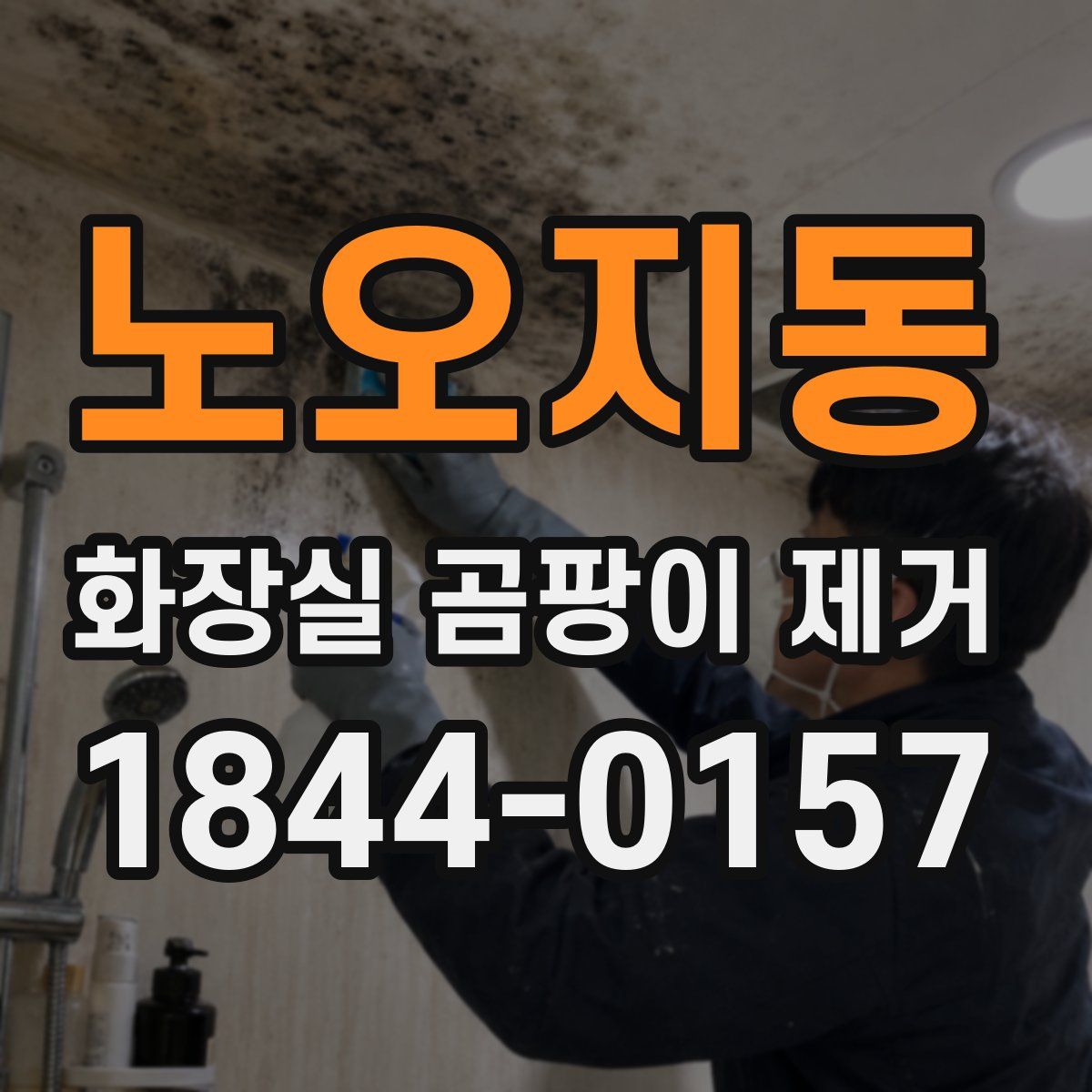 노오지동 화장실 곰팡이 제거
