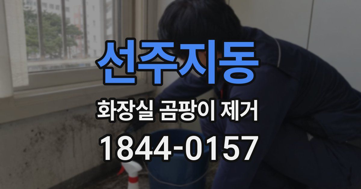 선주지동 화장실 곰팡이 제거