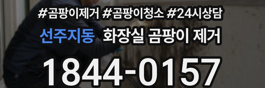 선주지동 화장실 곰팡이 제거