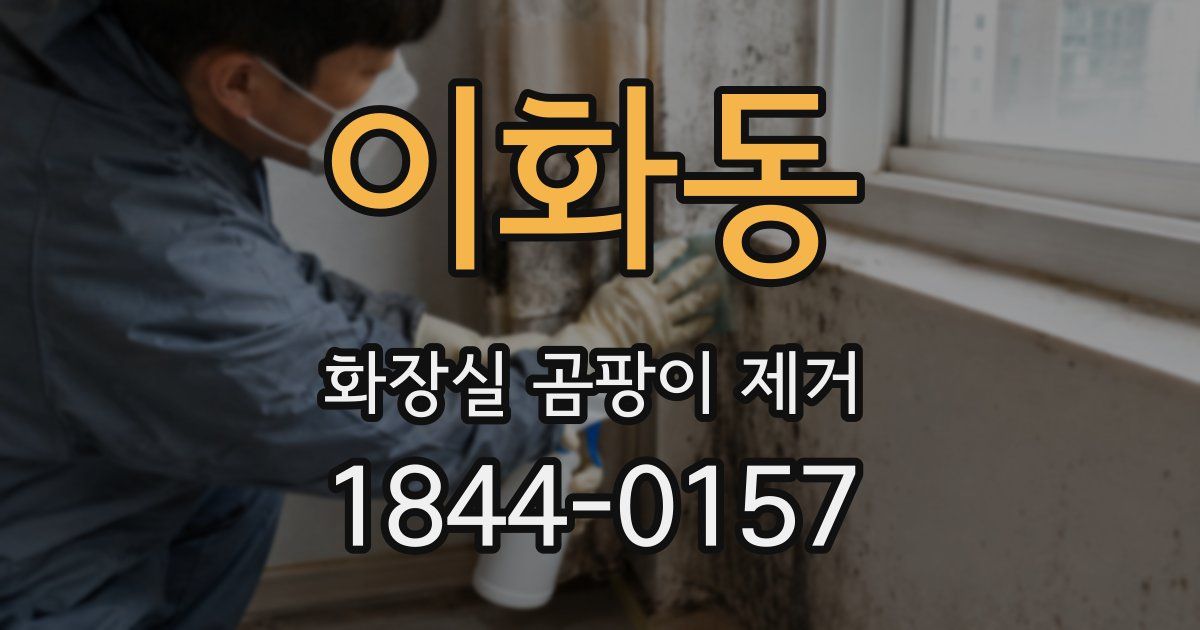 이화동 화장실 곰팡이 제거