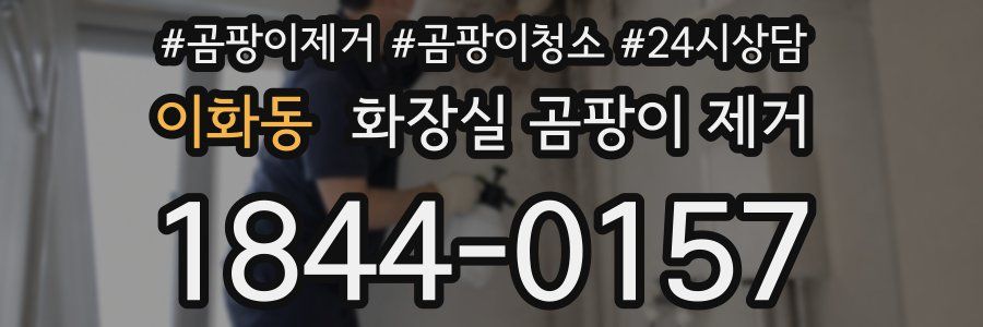 이화동 화장실 곰팡이 제거