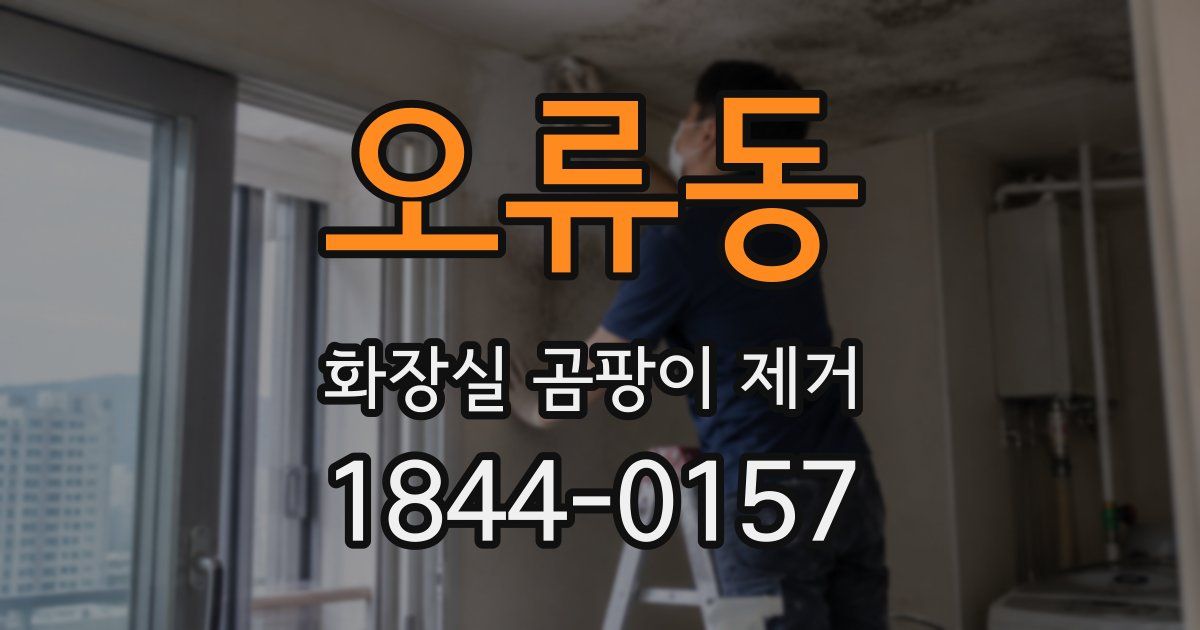 오류동 화장실 곰팡이 제거