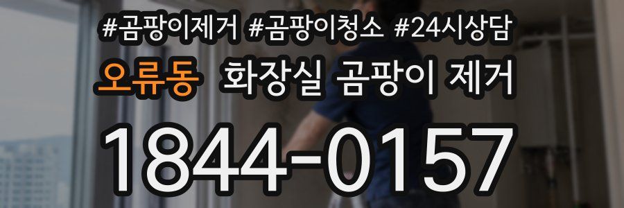 오류동 화장실 곰팡이 제거