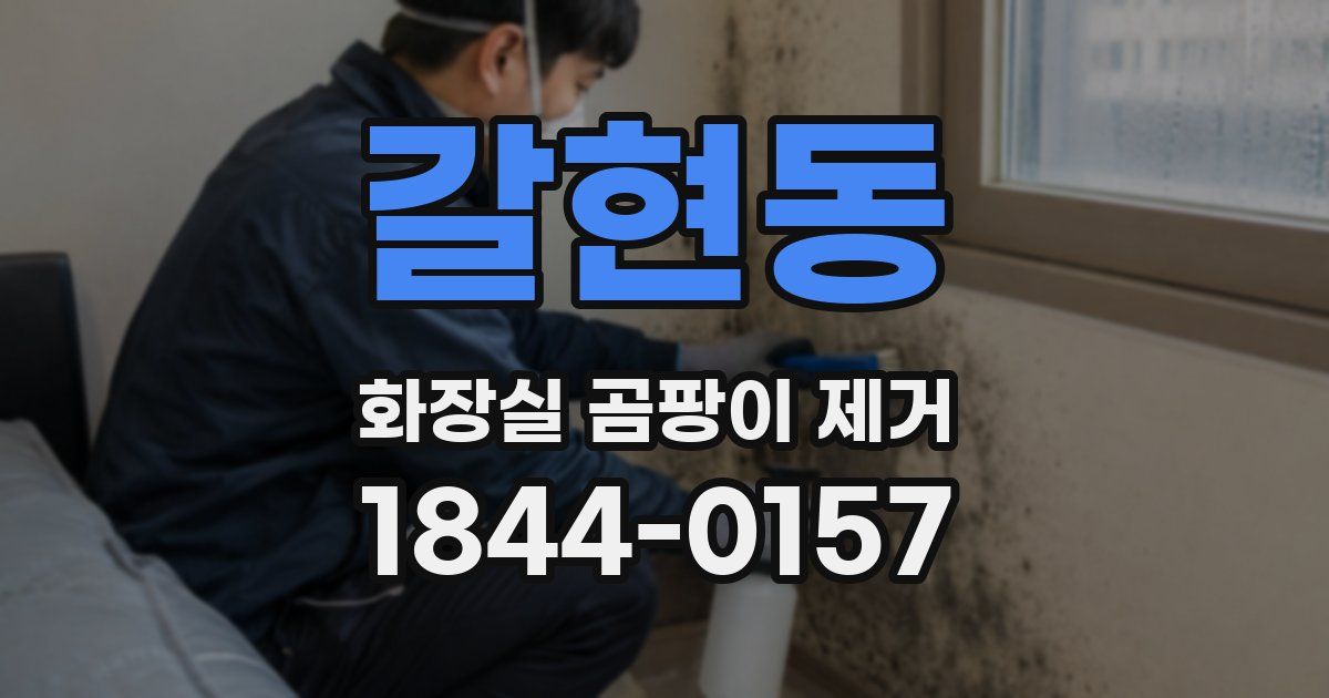 갈현동 화장실 곰팡이 제거