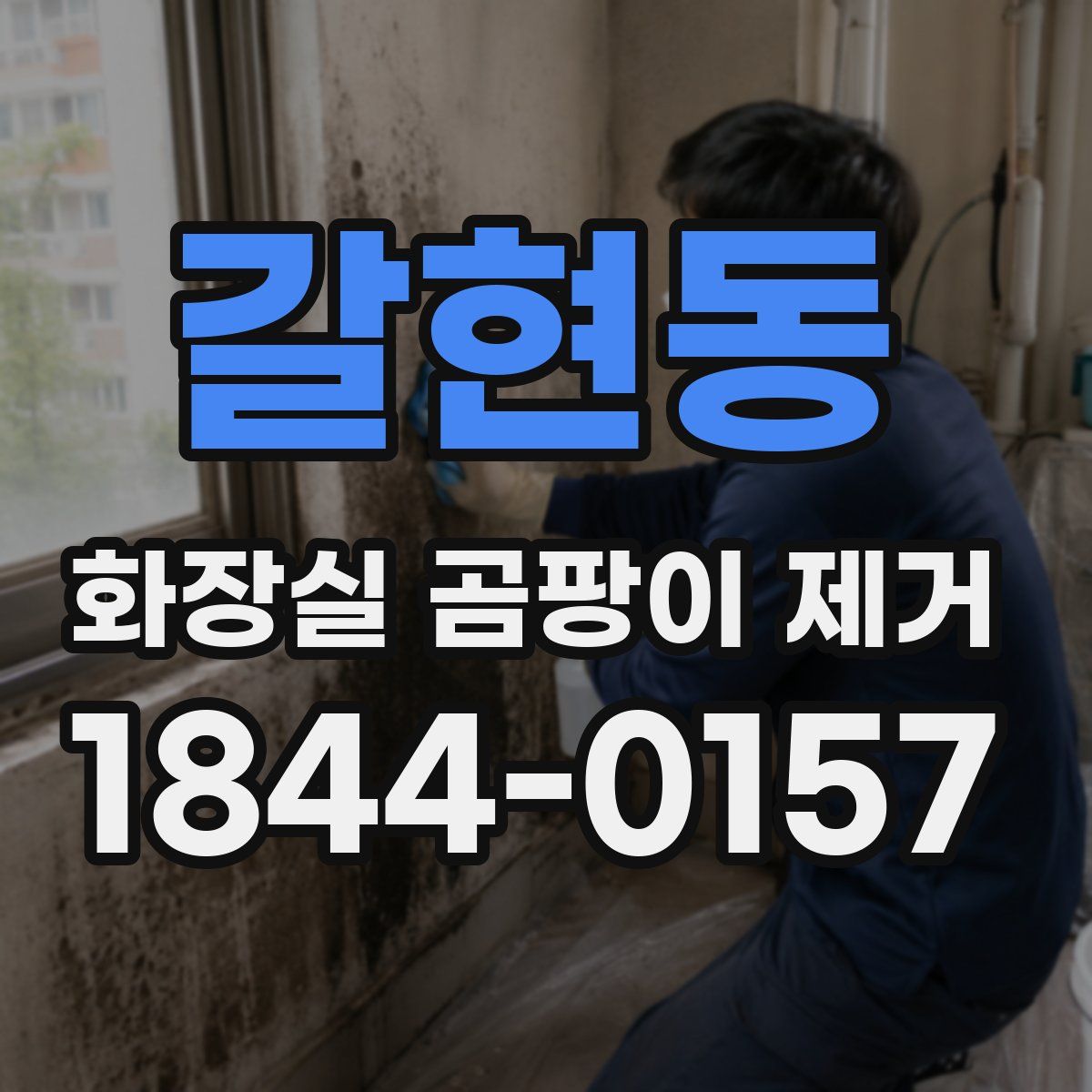 갈현동 화장실 곰팡이 제거