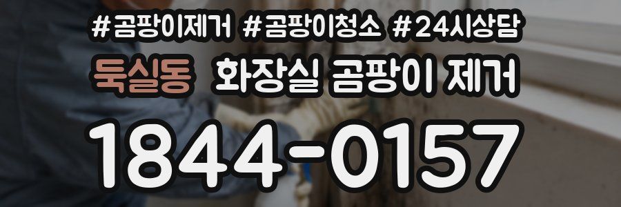 둑실동 화장실 곰팡이 제거