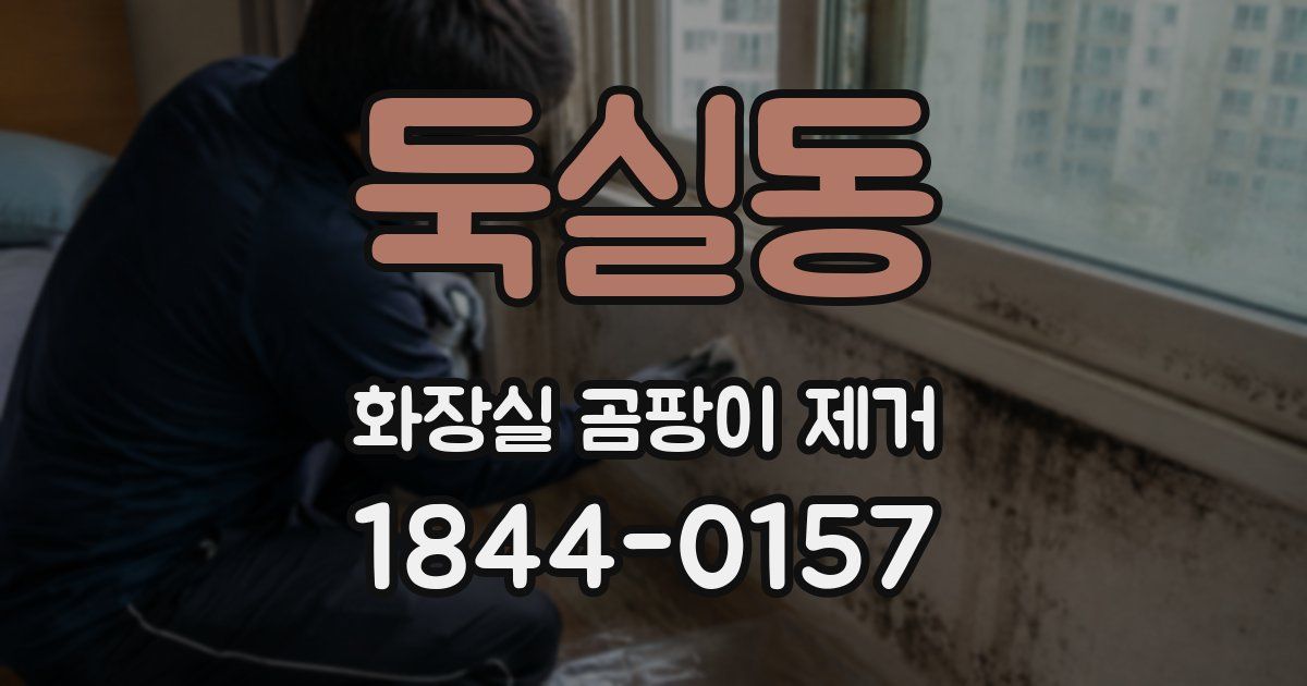 둑실동 화장실 곰팡이 제거