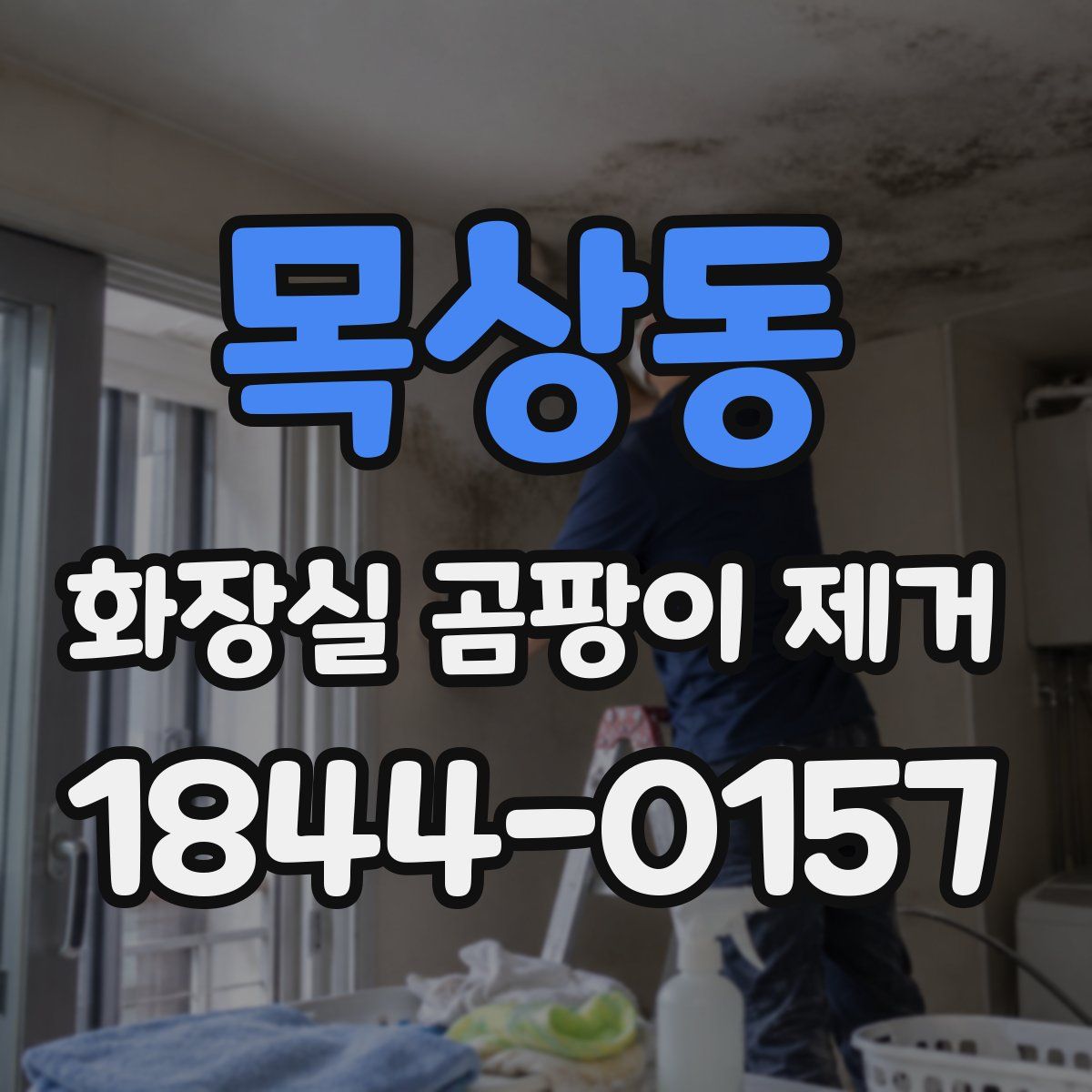 목상동 화장실 곰팡이 제거