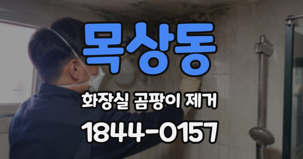 목상동 화장실 곰팡이 제거