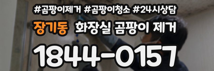 장기동 화장실 곰팡이 제거
