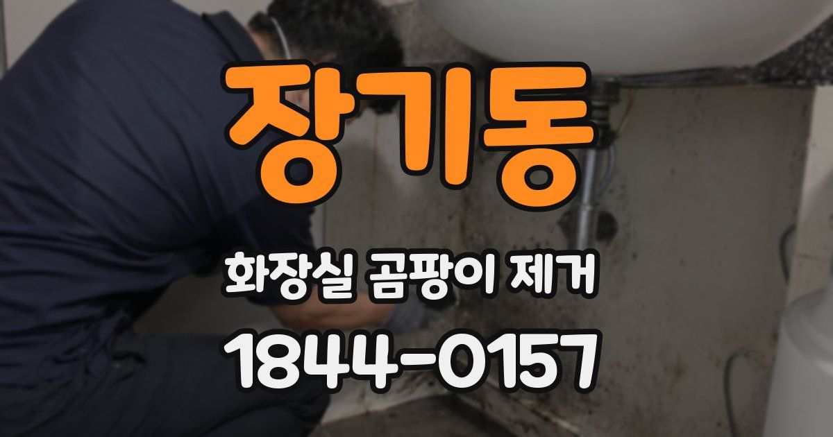 장기동 화장실 곰팡이 제거