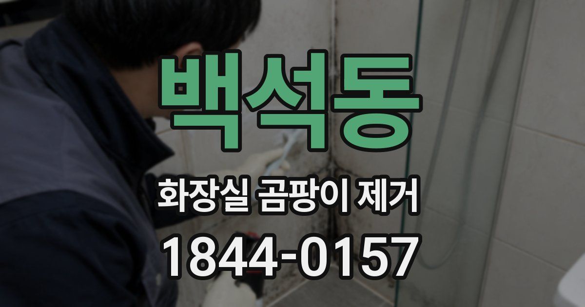 백석동 화장실 곰팡이 제거