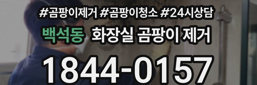 백석동 화장실 곰팡이 제거