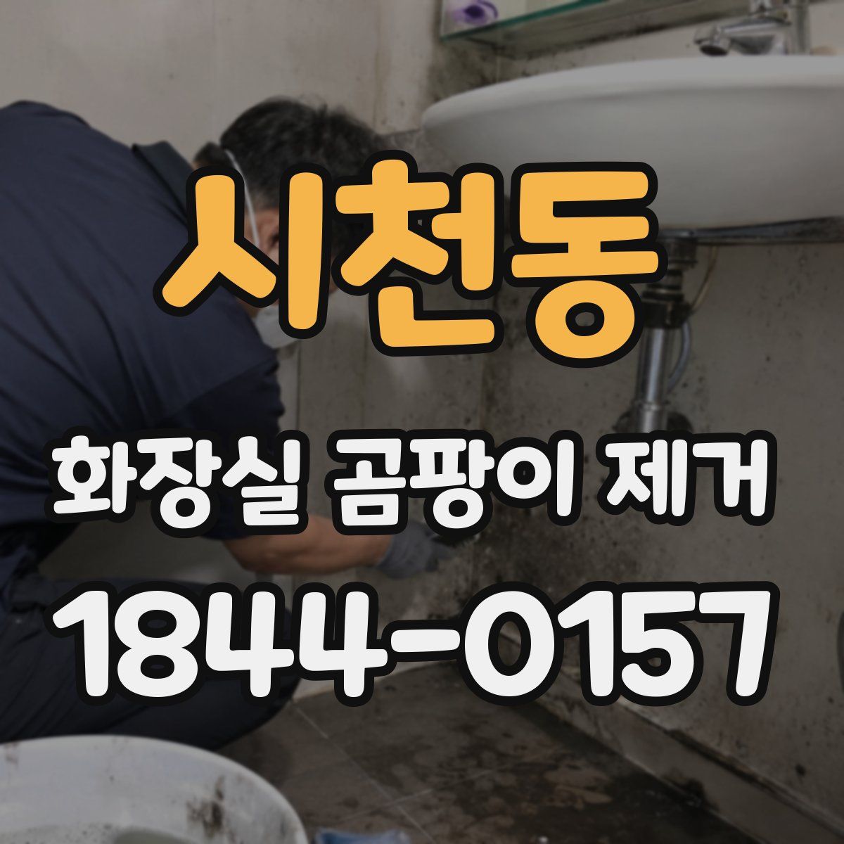 시천동 화장실 곰팡이 제거