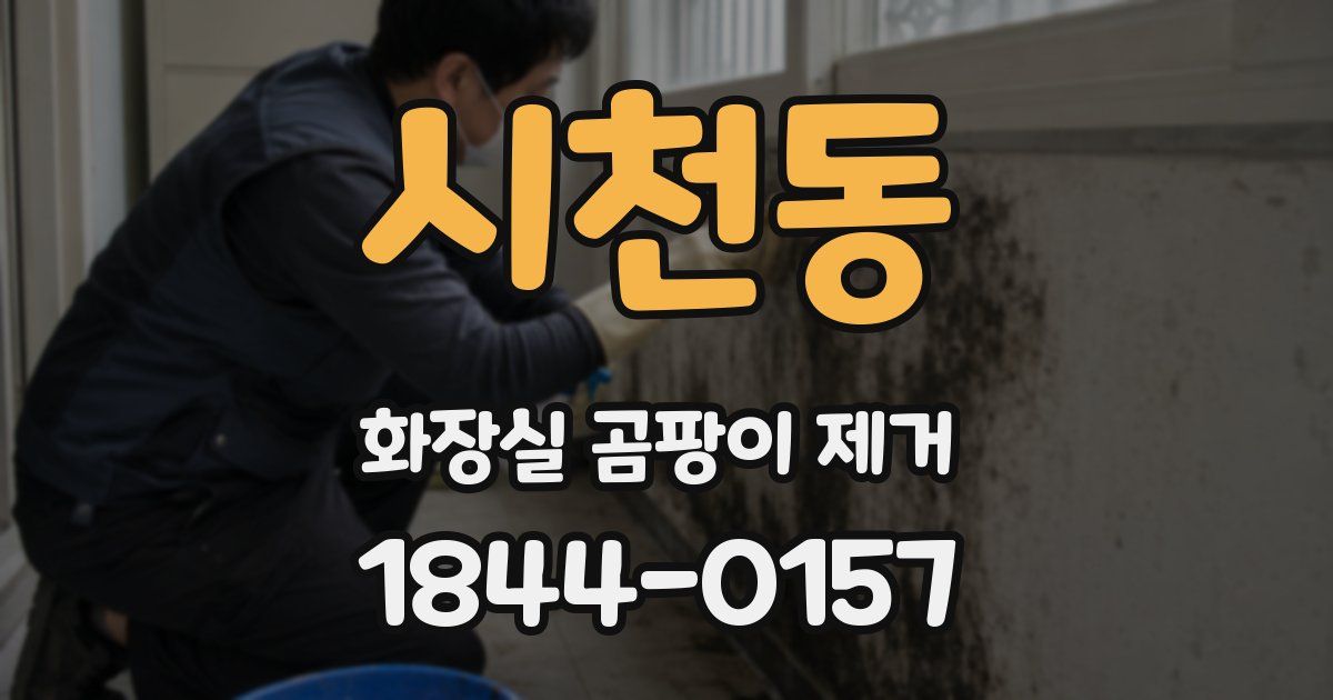 시천동 화장실 곰팡이 제거