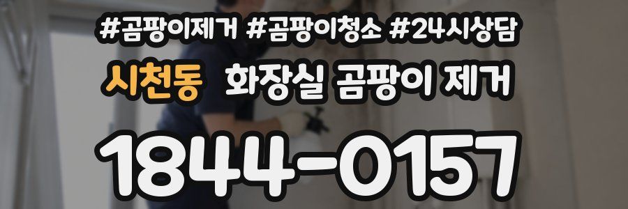 시천동 화장실 곰팡이 제거