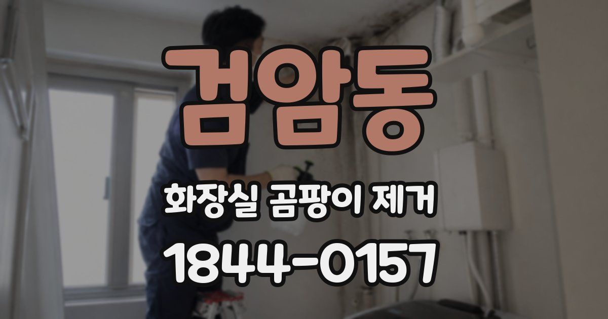 검암동 화장실 곰팡이 제거