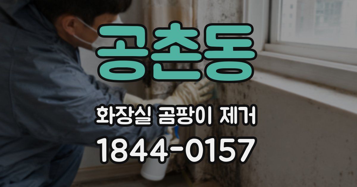 공촌동 화장실 곰팡이 제거