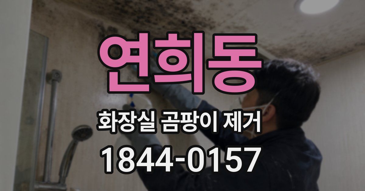연희동 화장실 곰팡이 제거