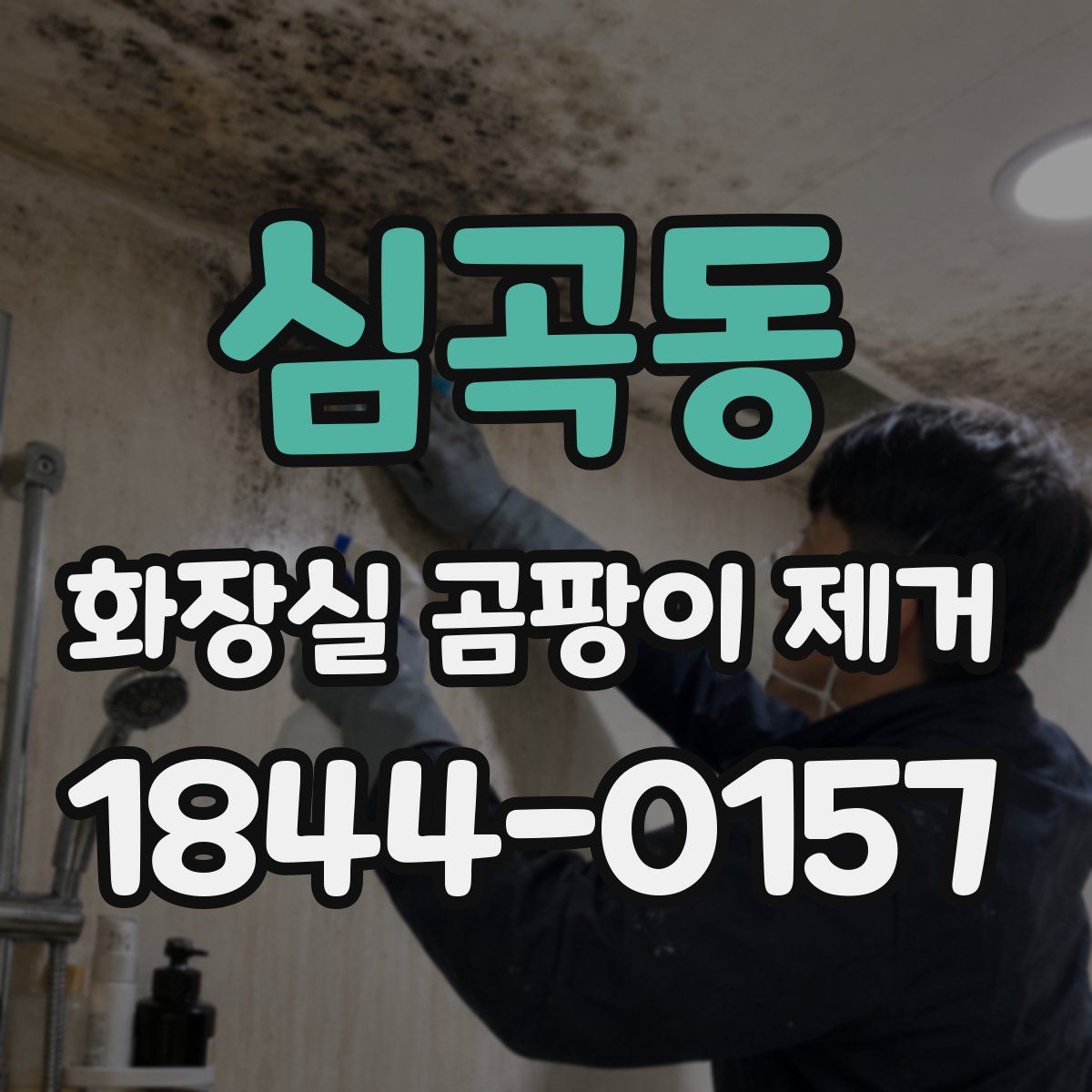 심곡동 화장실 곰팡이 제거
