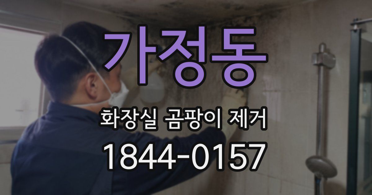 가정동 화장실 곰팡이 제거