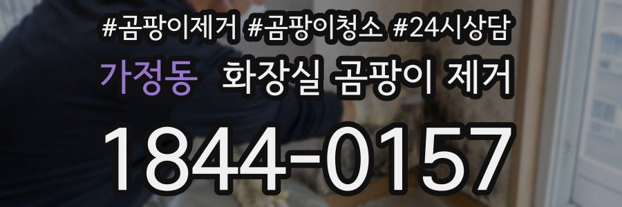 가정동 화장실 곰팡이 제거